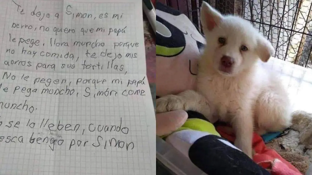 Niño deja a su perrito en albergue para que su padre no lo maltrate